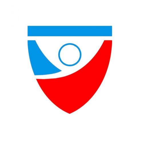 Логотип организации Федерация стритлифтинга России